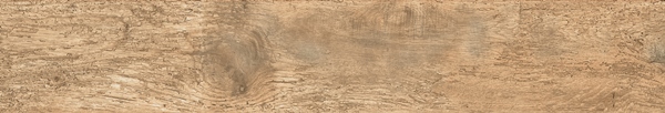 WOODLAND ARDEN Wild 20x120 Cotto D’Este