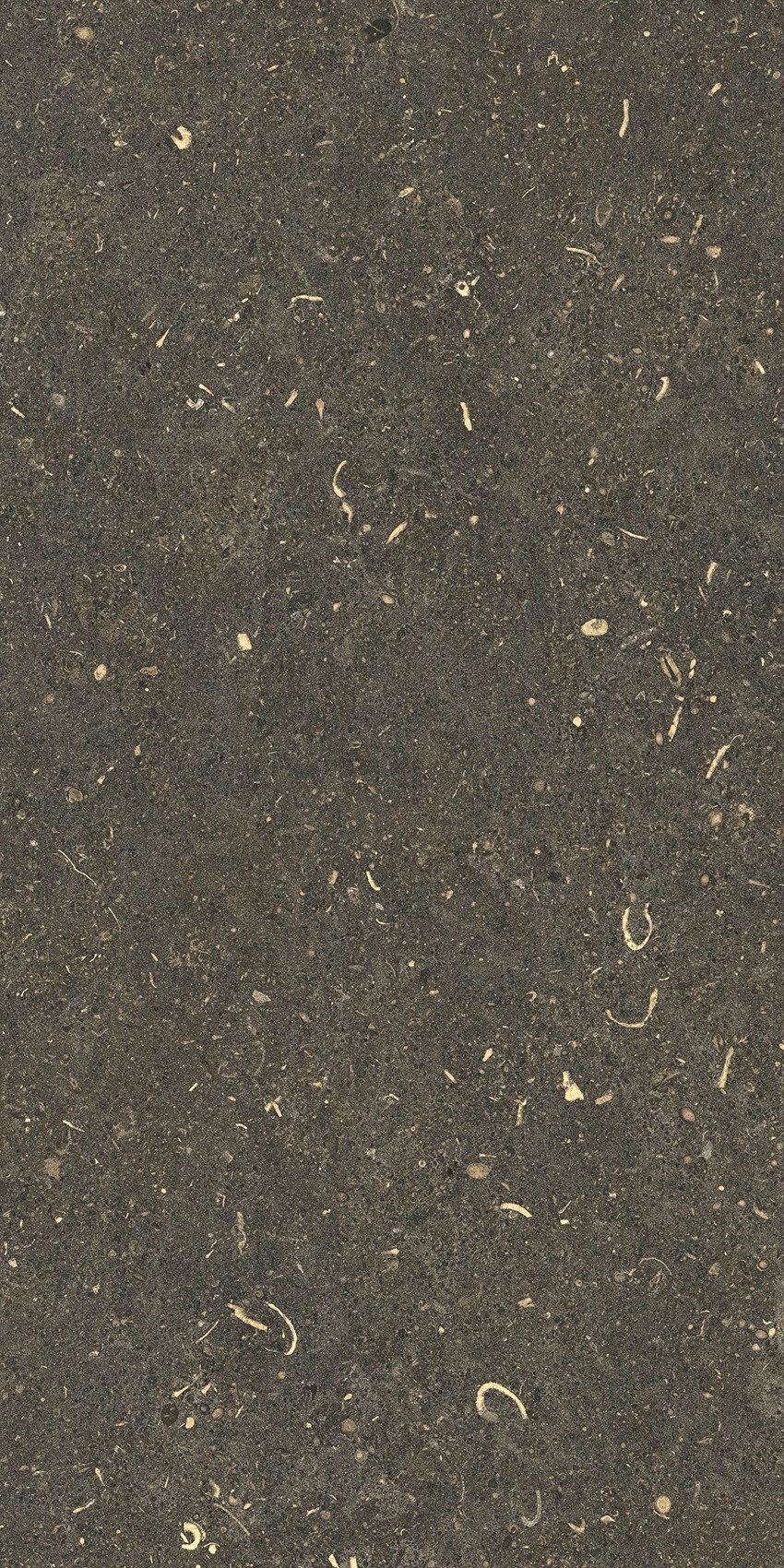 785503 Rinascenza Arena Platino Grip 30x60 Casa Dolce Casa фото 5