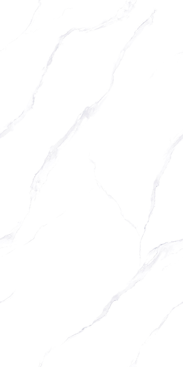 ZA-L12614 Lande PR 1200x600x9 Vizavi фото 4
