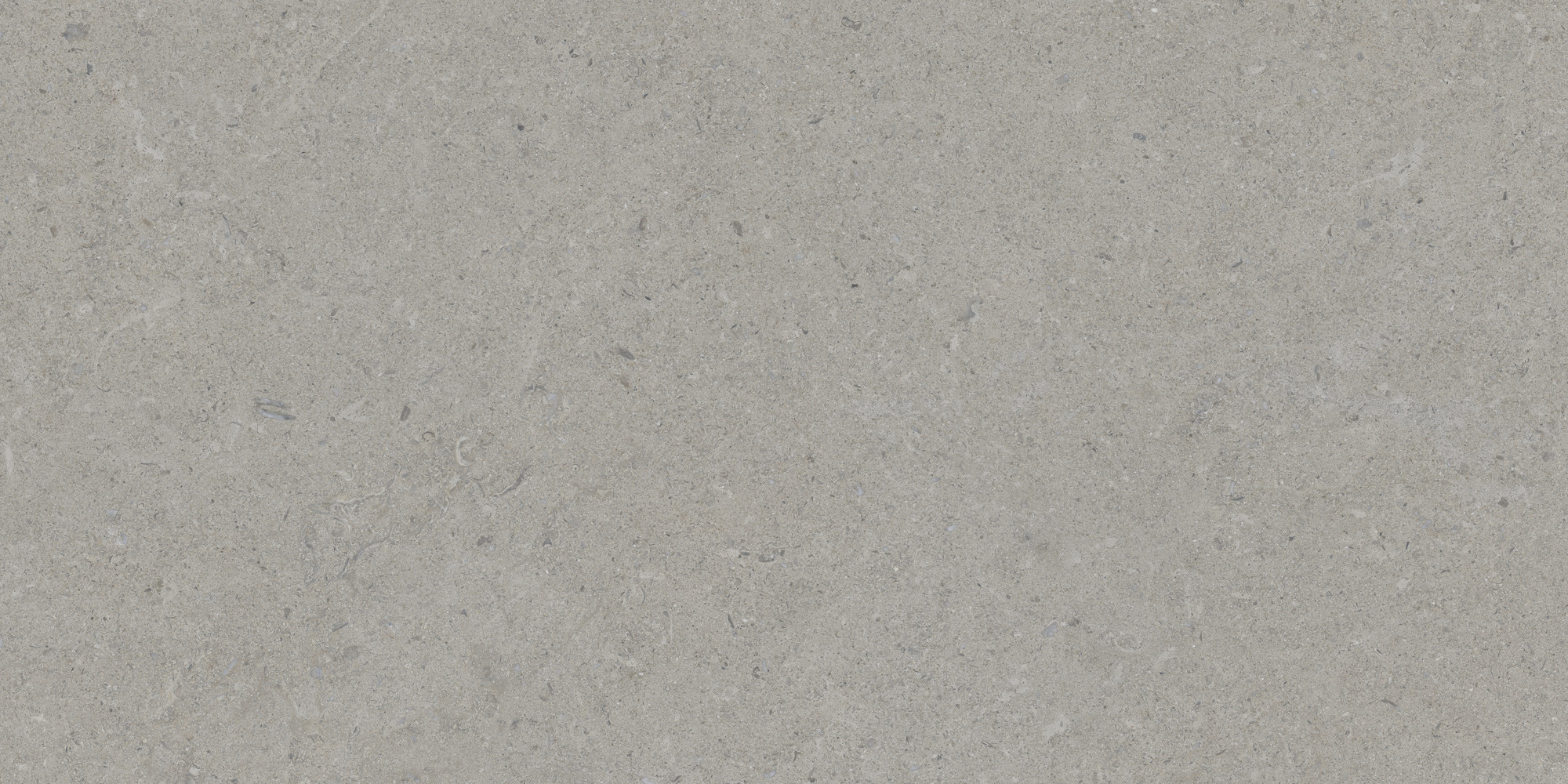 Calcare Silver 60x120 TAU Ceramica фото 9