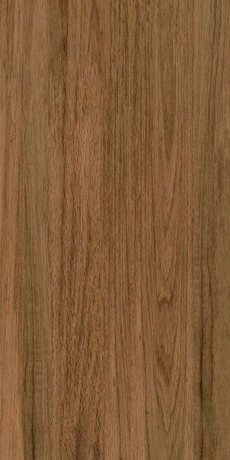 Greenwood Elite Matt 60x120 Bonaparte