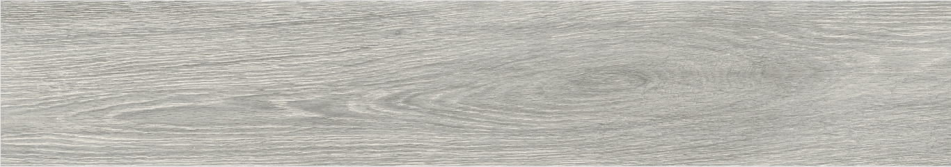 Eleganza Silver Rectificado 20x114 Baldocer