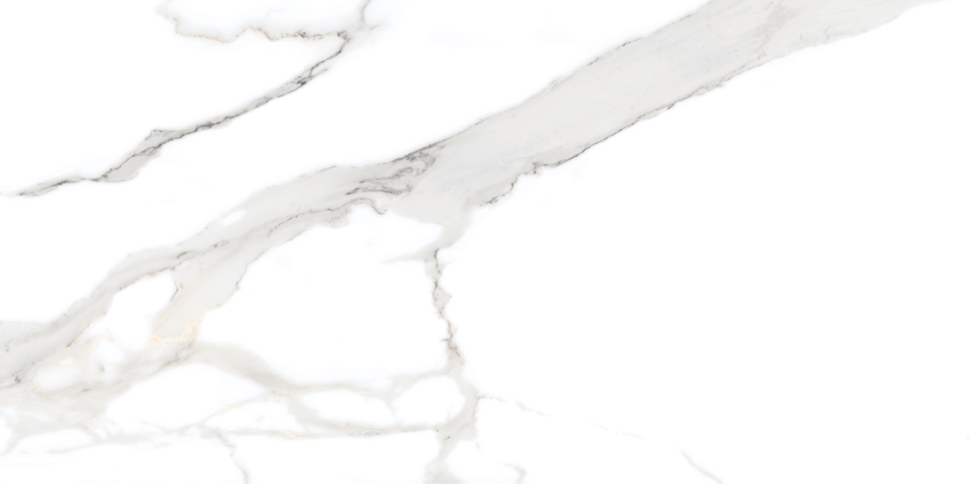 Antique Satvario White Carving 120x60 Bluezone