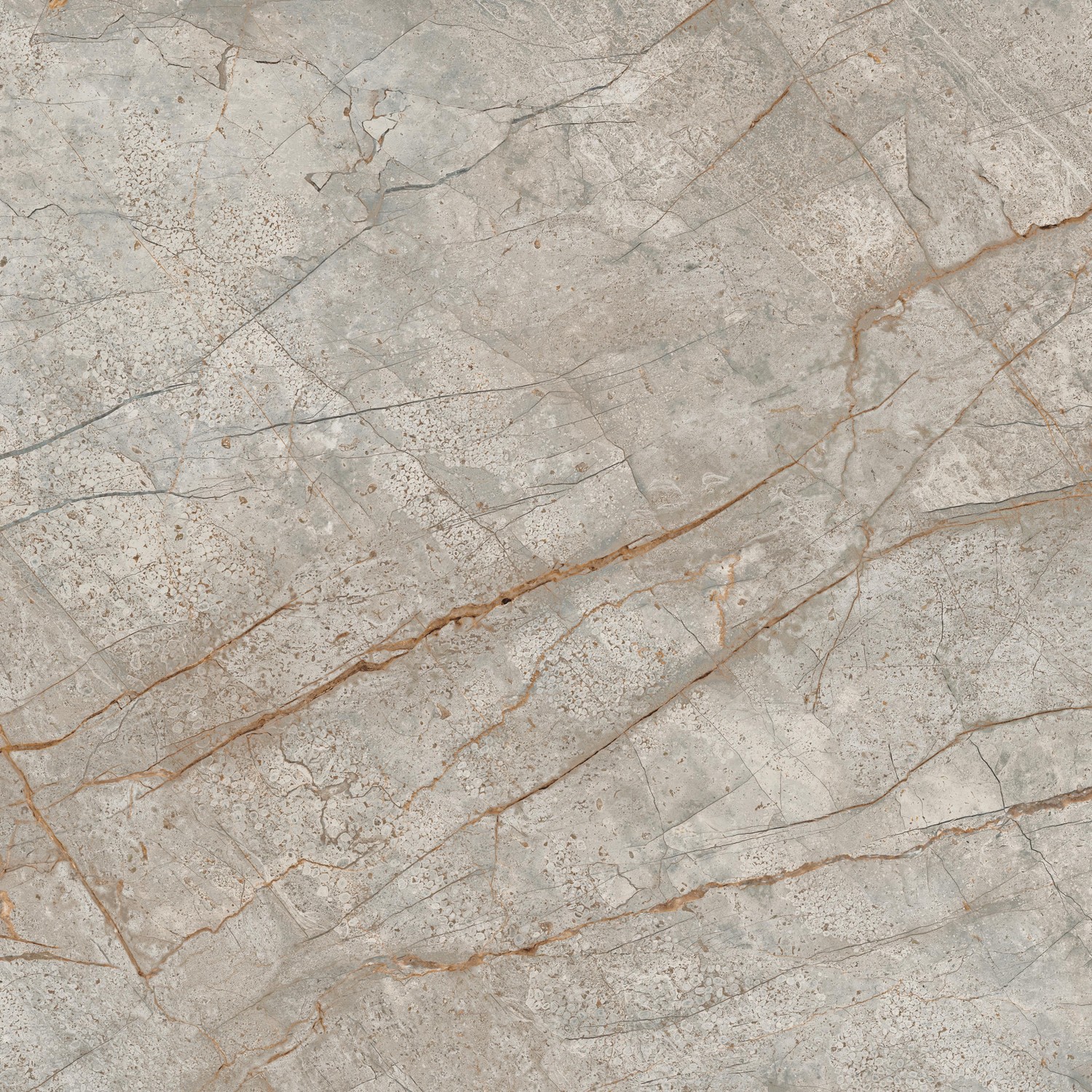 610015000611 Empire Silver Root Lapp 80x80 Atlas Concorde Russia