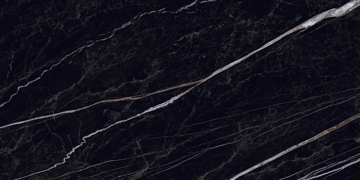 N12047 Nero Rock Polished 60x120 Neodom