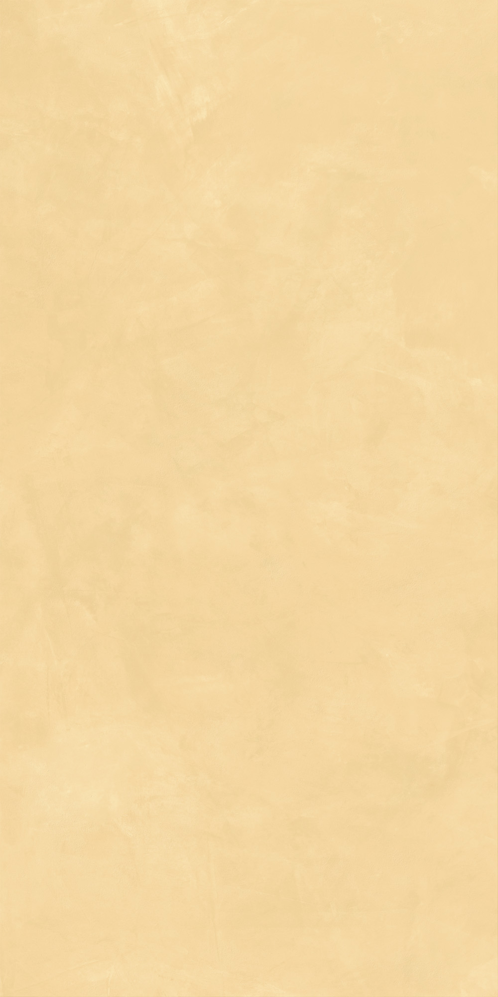 AHEE Join Mango Soft 60x120 Caesar