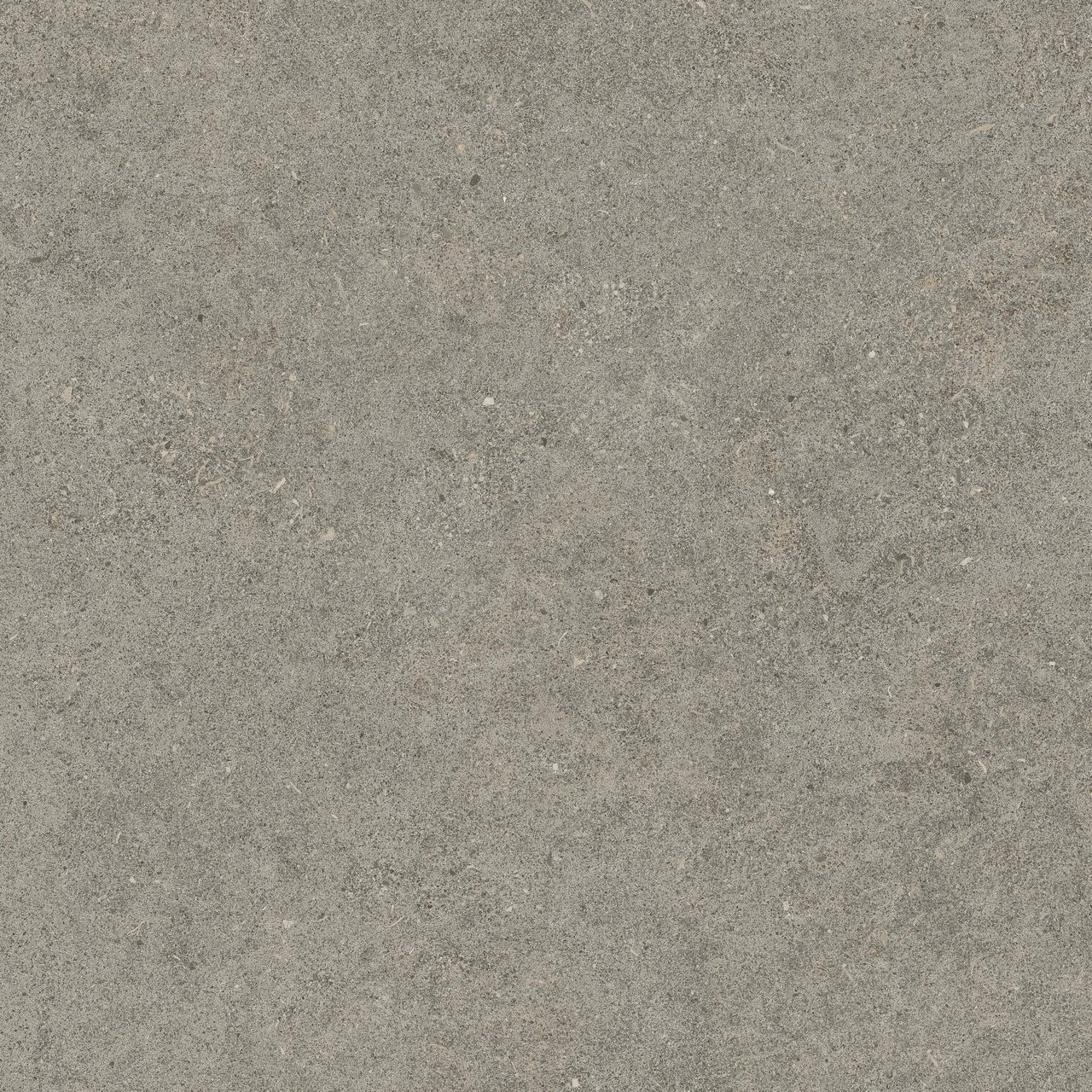 610010005836 Forte dei Marmi Rock Lunar Grey Lastra 20mm 60x60 Atlas Concorde Russia