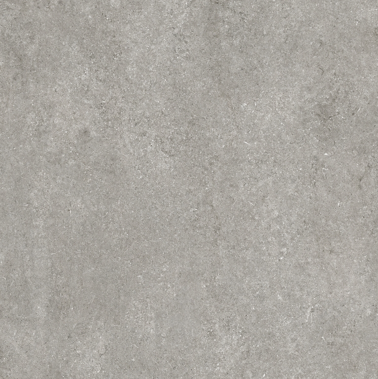 768556 Sensi Grey Fossil Nat Ret 6mm 120x120 Casa Dolce Casa