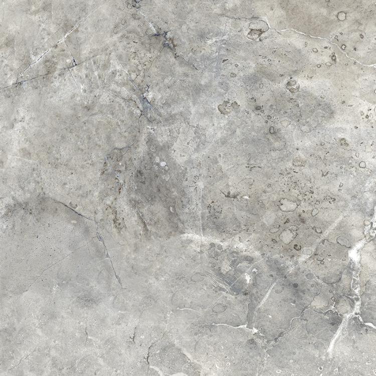 PR123 Mezza Grey Polished 600x600 PrimaVera