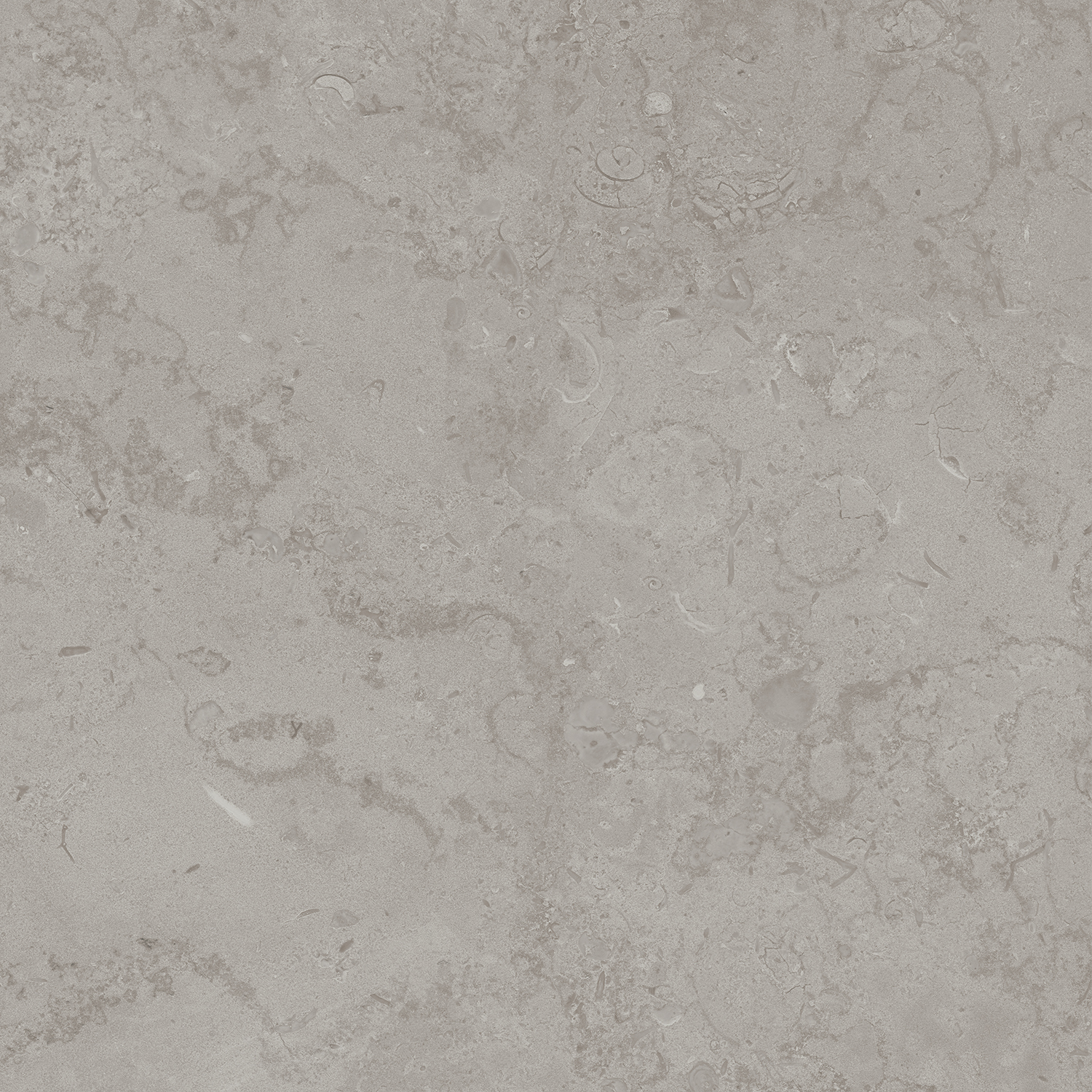 DD640900R Про Лаймстоун серый натуральный обрезной R10 60х60 Kerama Marazzi