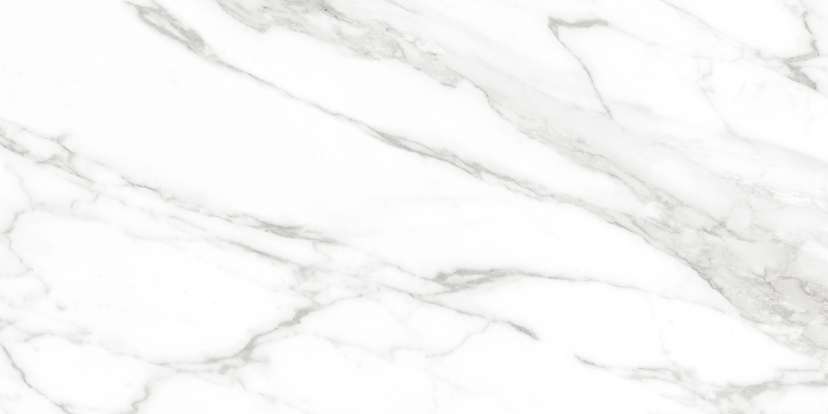 Calacatta Bianco PRO белый матовый R10GR CB 60х120 Laparet