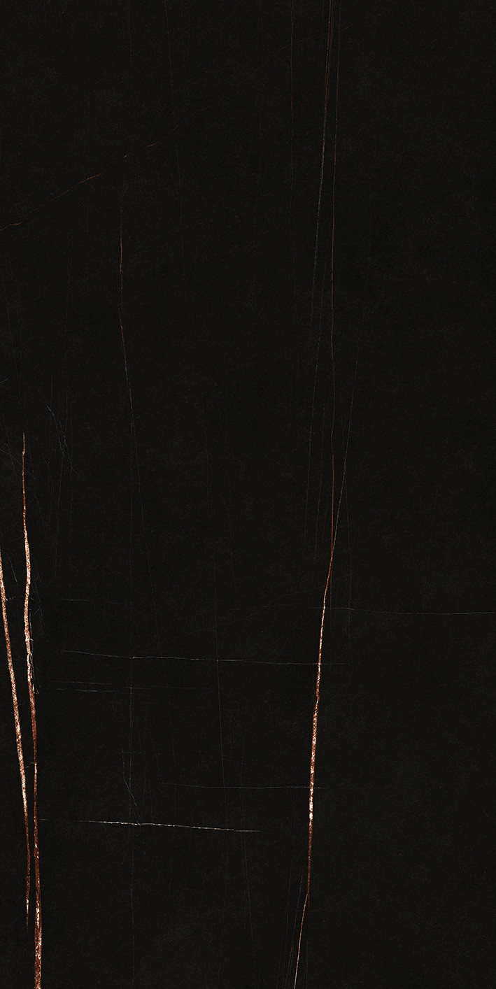 752799 Stone Sahara Noir Glossy 60x120 Casa Dolce Casa