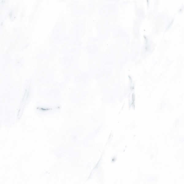 G283PR Payer Grey 60x60 Гранитея фото 11