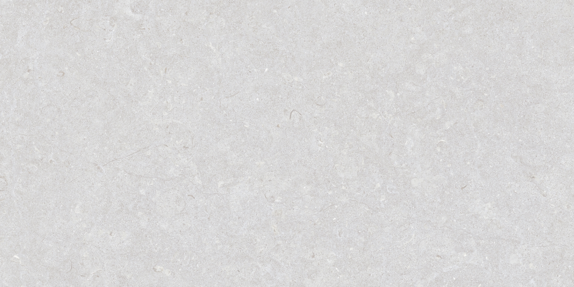 35569 Ghent Silver/50X100X2/A/R 50x100 Peronda фото 3