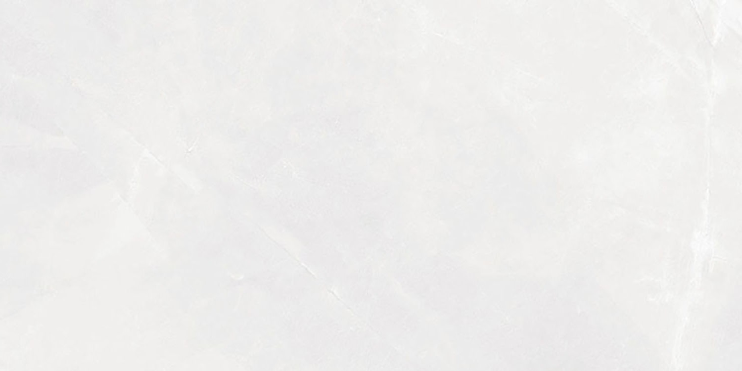 Elbert Blanco Matt 60x120 Geotiles