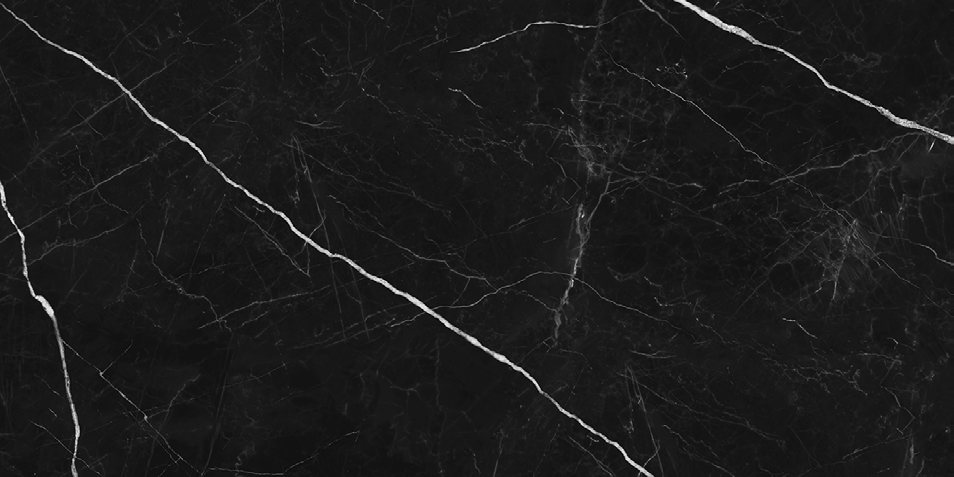 NR209 Ross Black 60x120 PrimaVera