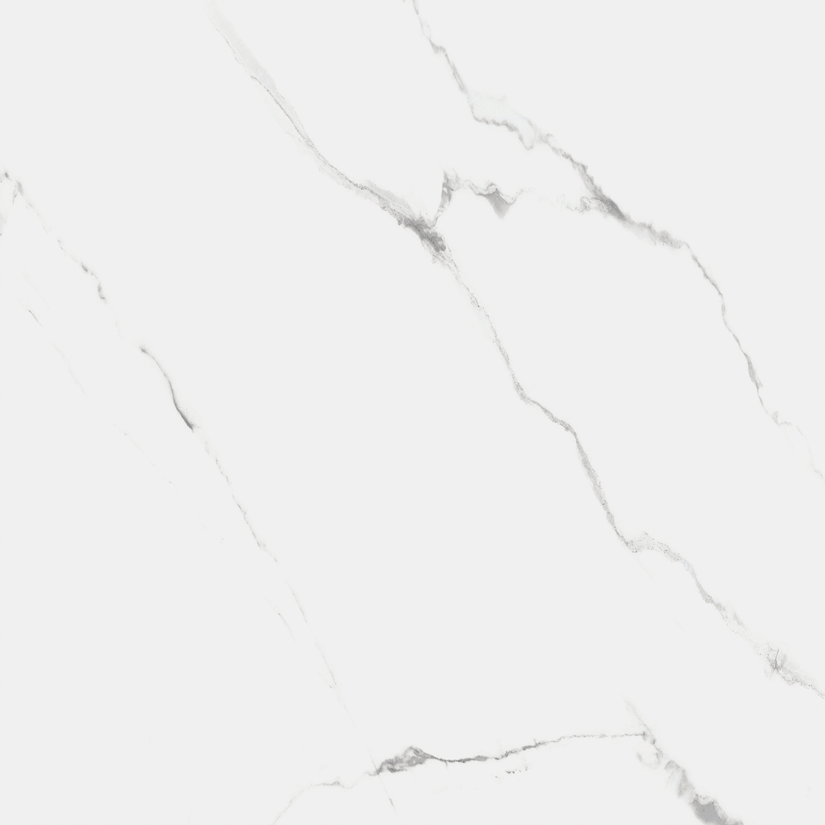 R_PR1004 Carrara Marmo Polished 60x60 Royce