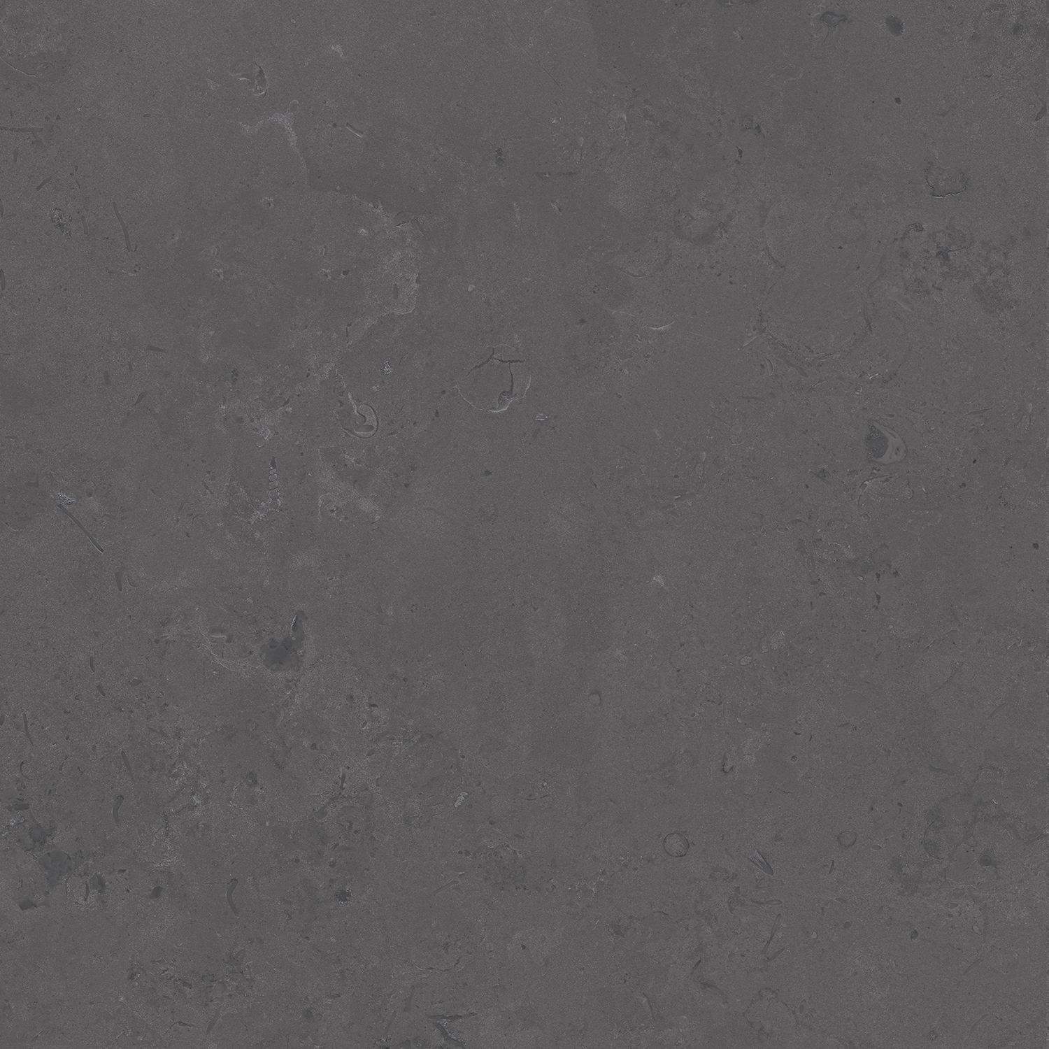 DD640800R Про Лаймстоун серый темный натуральный обрезной R10 60х60 Kerama Marazzi