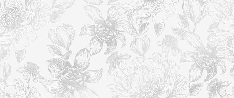 010300000235 Декор Blum white 01 250х600 Gracia Ceramica