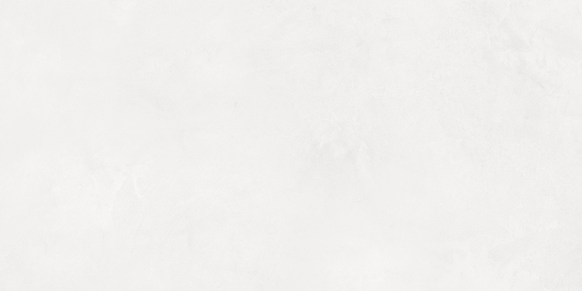 48030R Evolution blanco матовый обрезной 40x80 Laparet