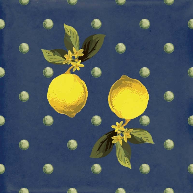 Giardino Blu Mix Luc 20x20 Sant Agostino