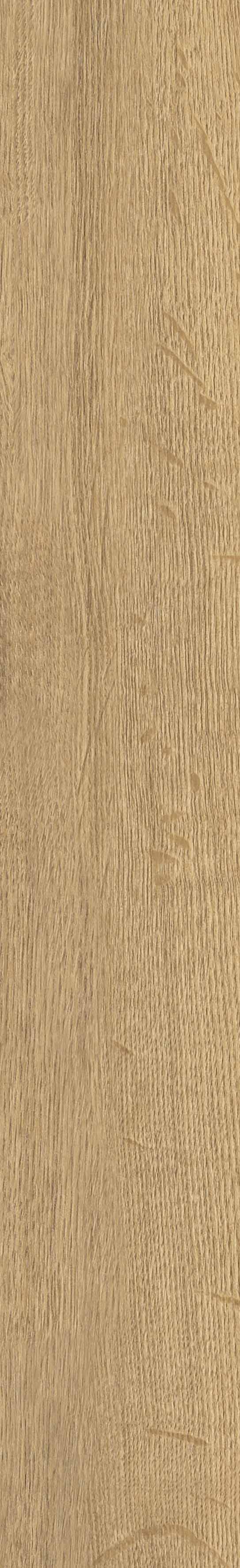 SGR29 Aurevia Gold 9.2x60 Stargres