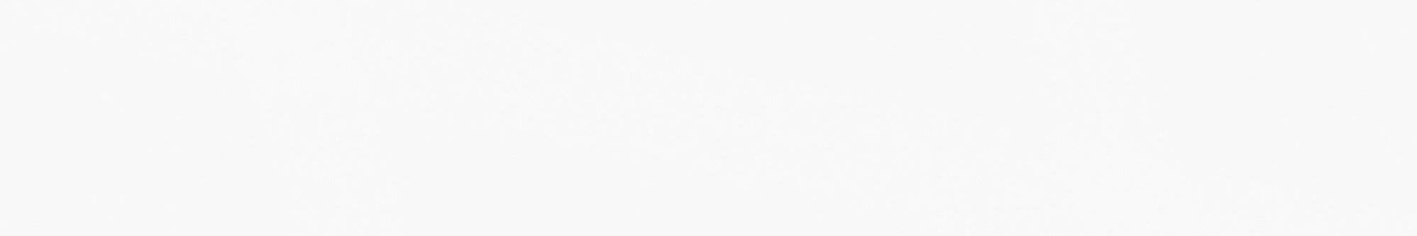 23824 Pure-W/15,5X100/R 15,5x100 Peronda