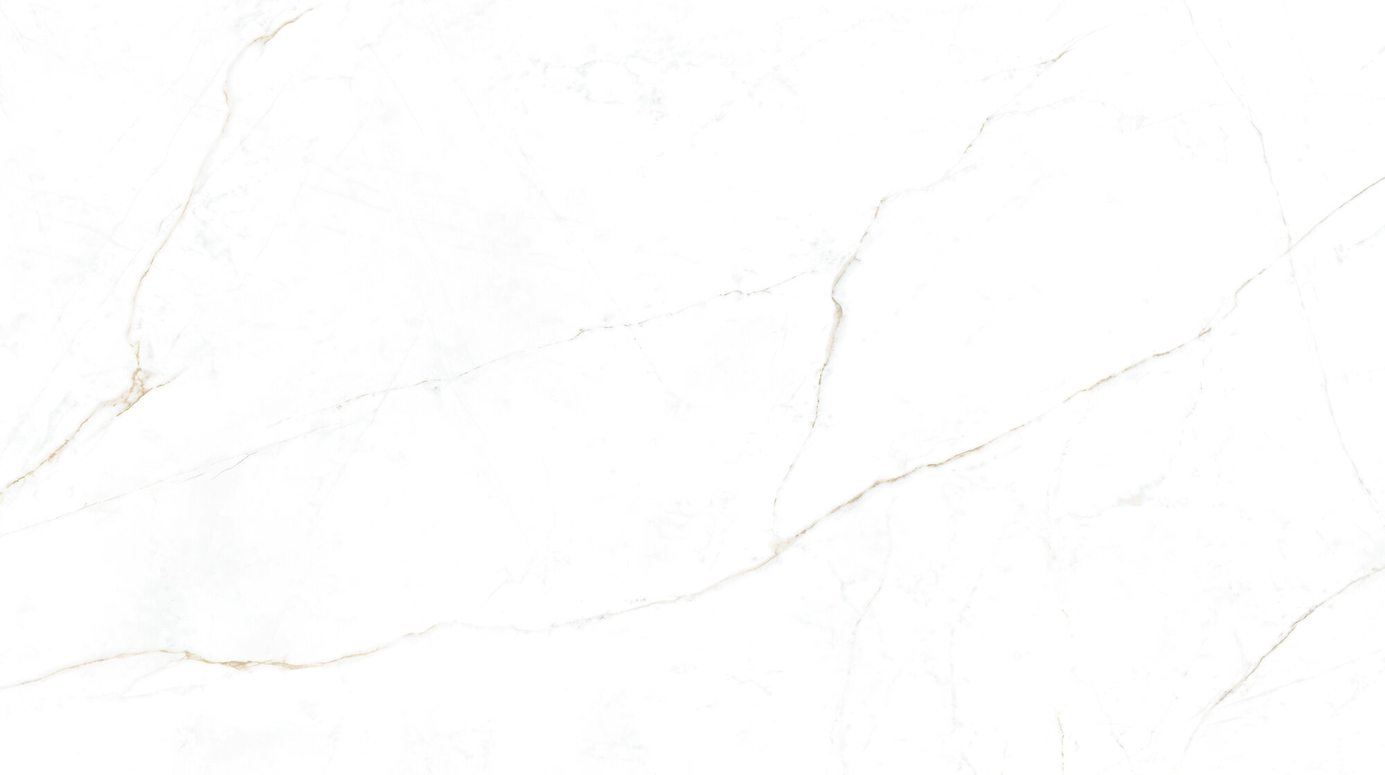 31744 Dual White SP/100X180/R 100х180 Peronda фото 5