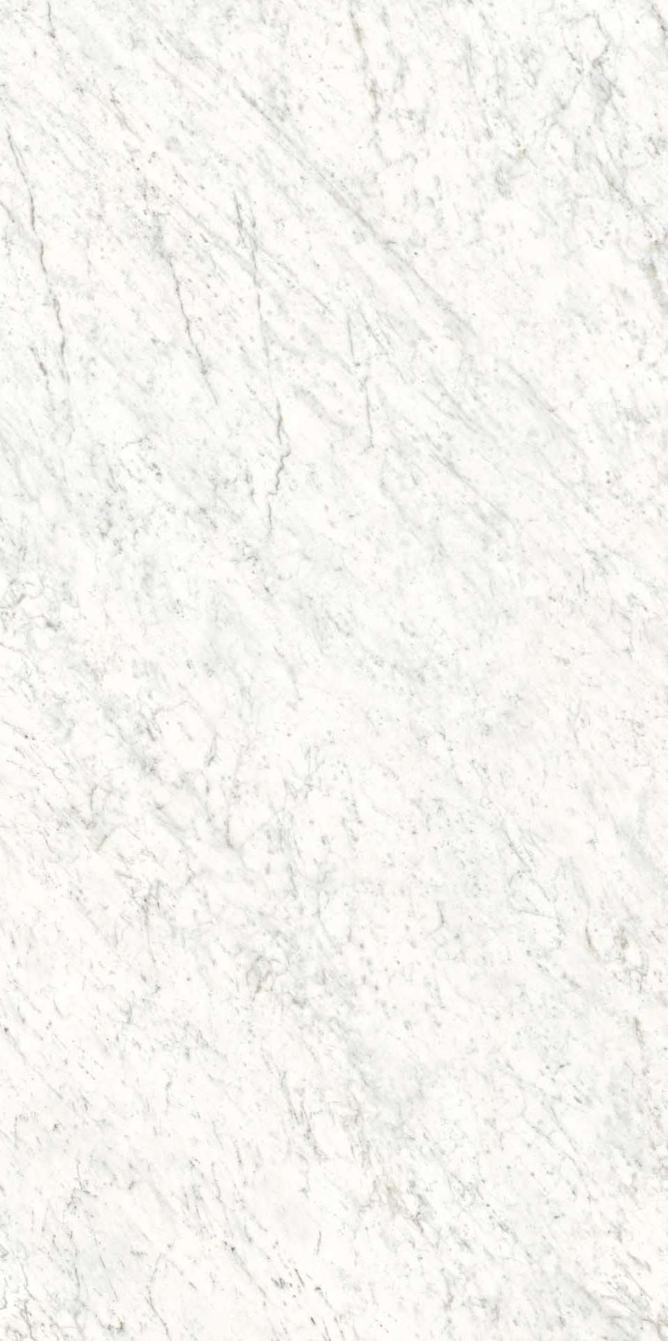L315339MF6 Veined White Luc 150x300 IRIS FMG