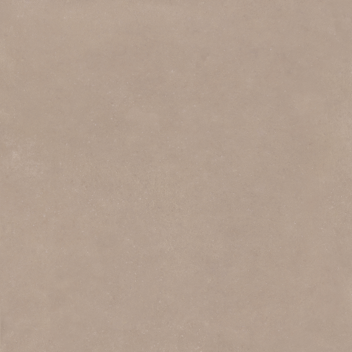4101182 Nok Taupe 120x120 41ZERO42