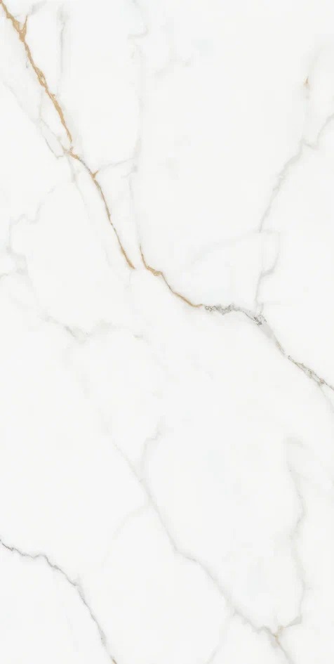 Kingston Silky Matt 60x120 Realistik фото 5