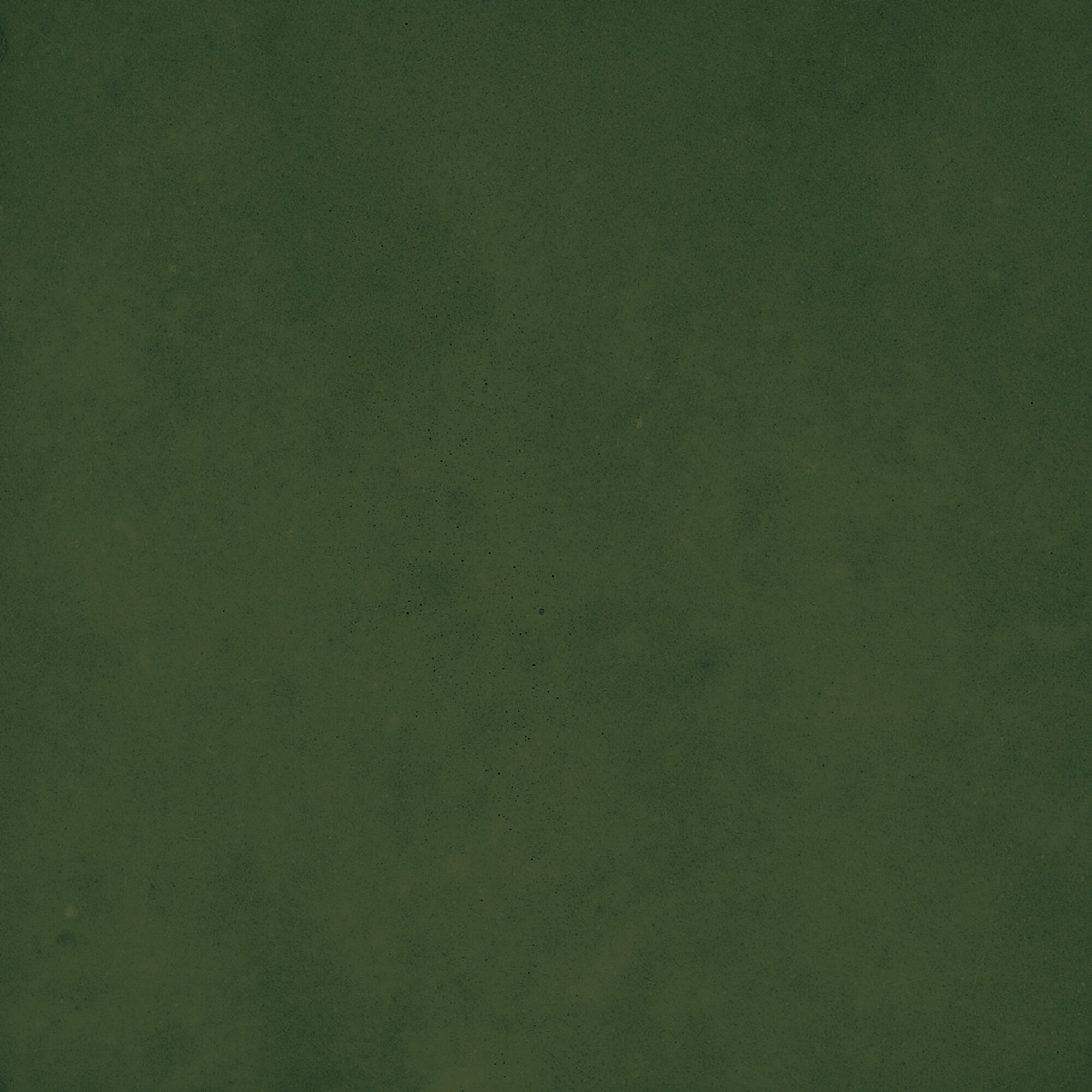 43289 Samira Green 10x10 Harmony фото 46
