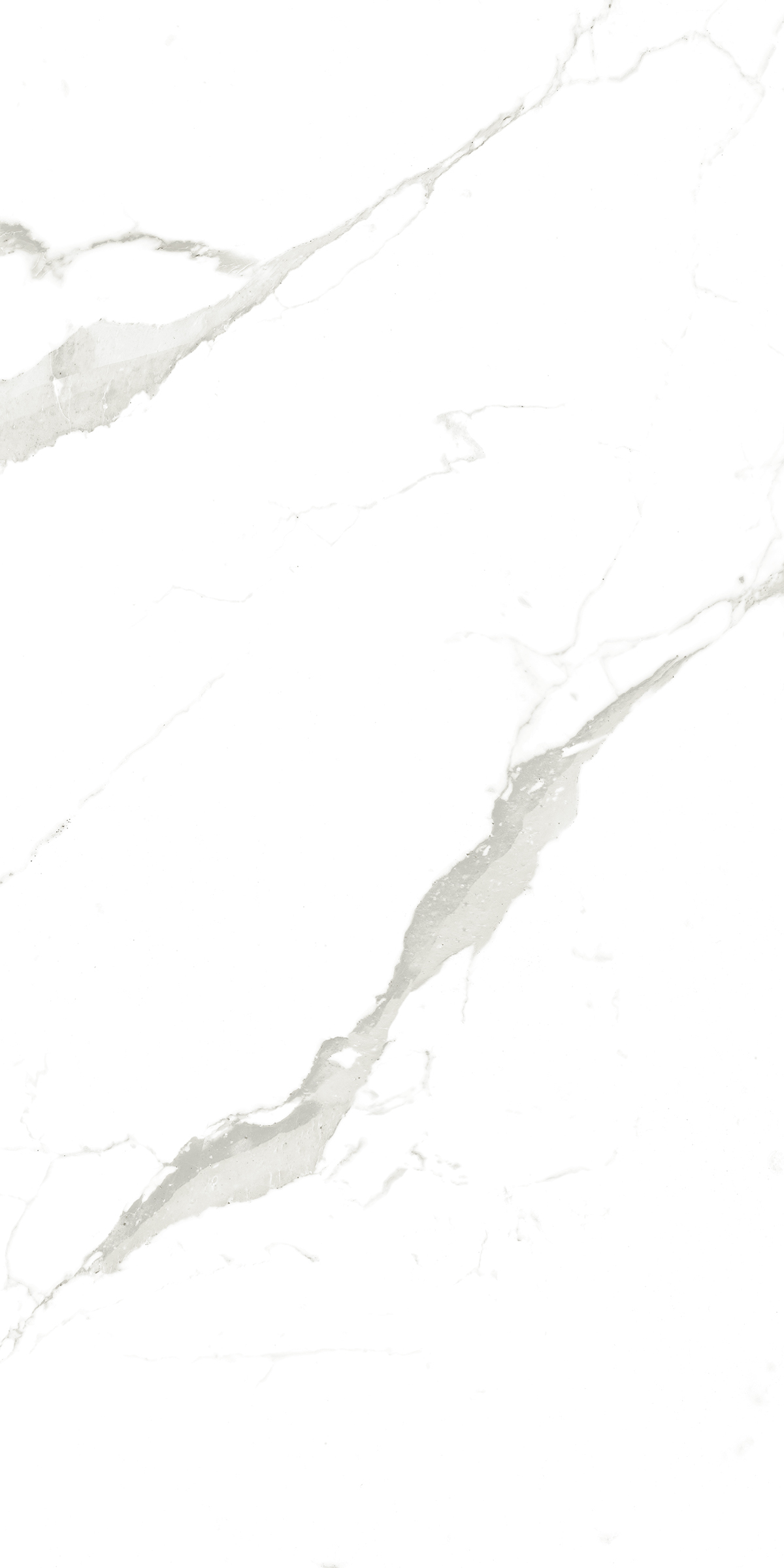 902 Vena Fine Statuario 120x60 Artcer
