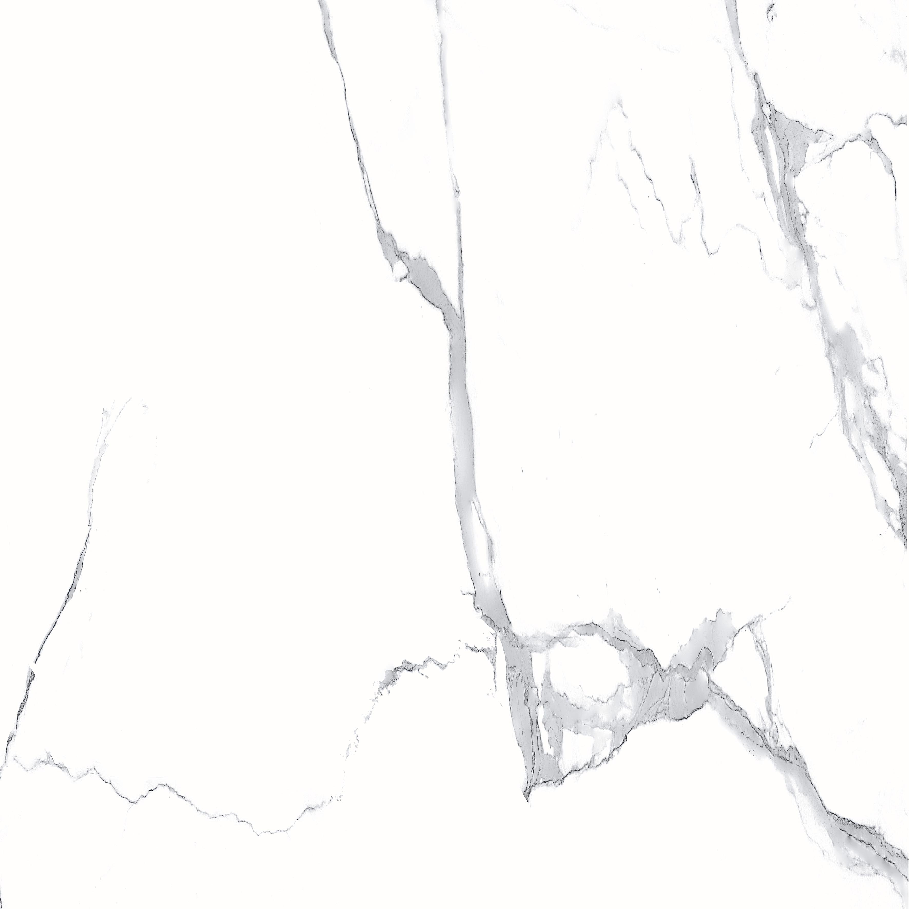Megnus Statuario Glossy 60x60 Modern Tile