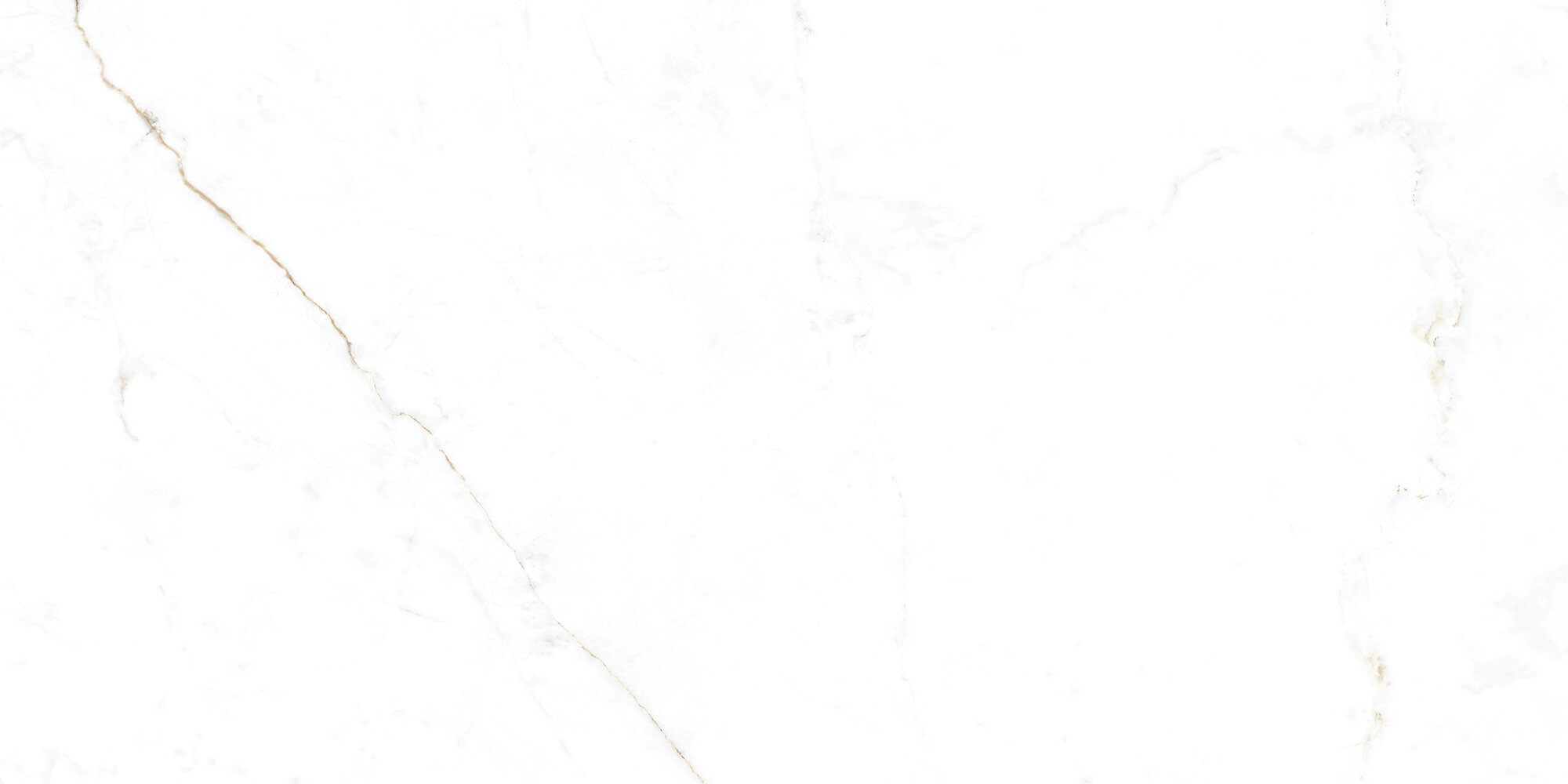 31741 Dual White EP 60x120 Peronda фото 12