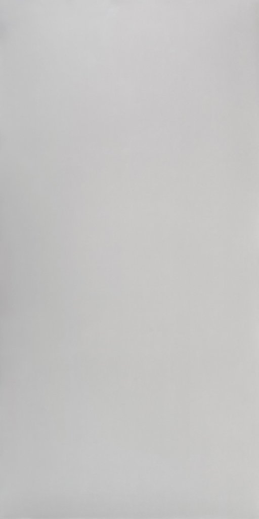 Studio Light Grey Polish 60x120 Bonaparte
