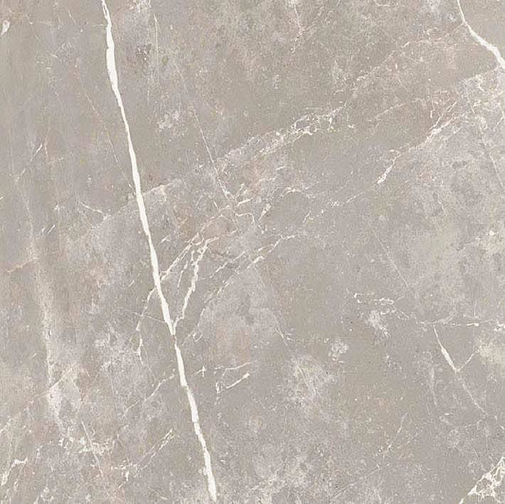 766956 Elemental Grey Dolomia Luc Ret 60x60 Cerim
