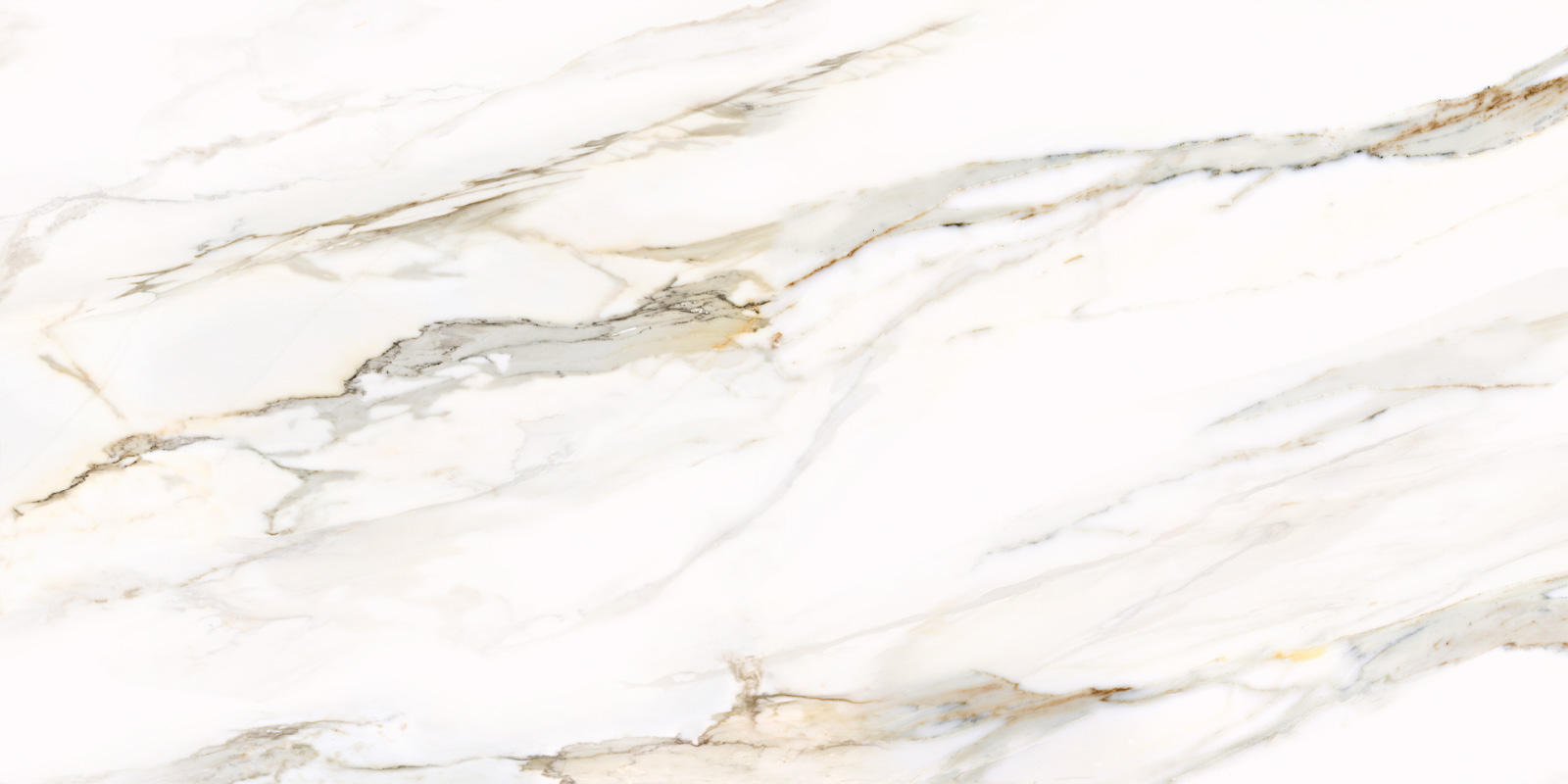 D12054M Omega Gold 1200x600x9.5 Delacora