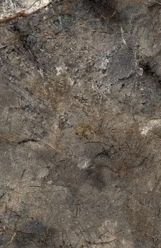 Образец 20х30 см керамогранита Arizona Green полированный 60x120 Duna фото 7
