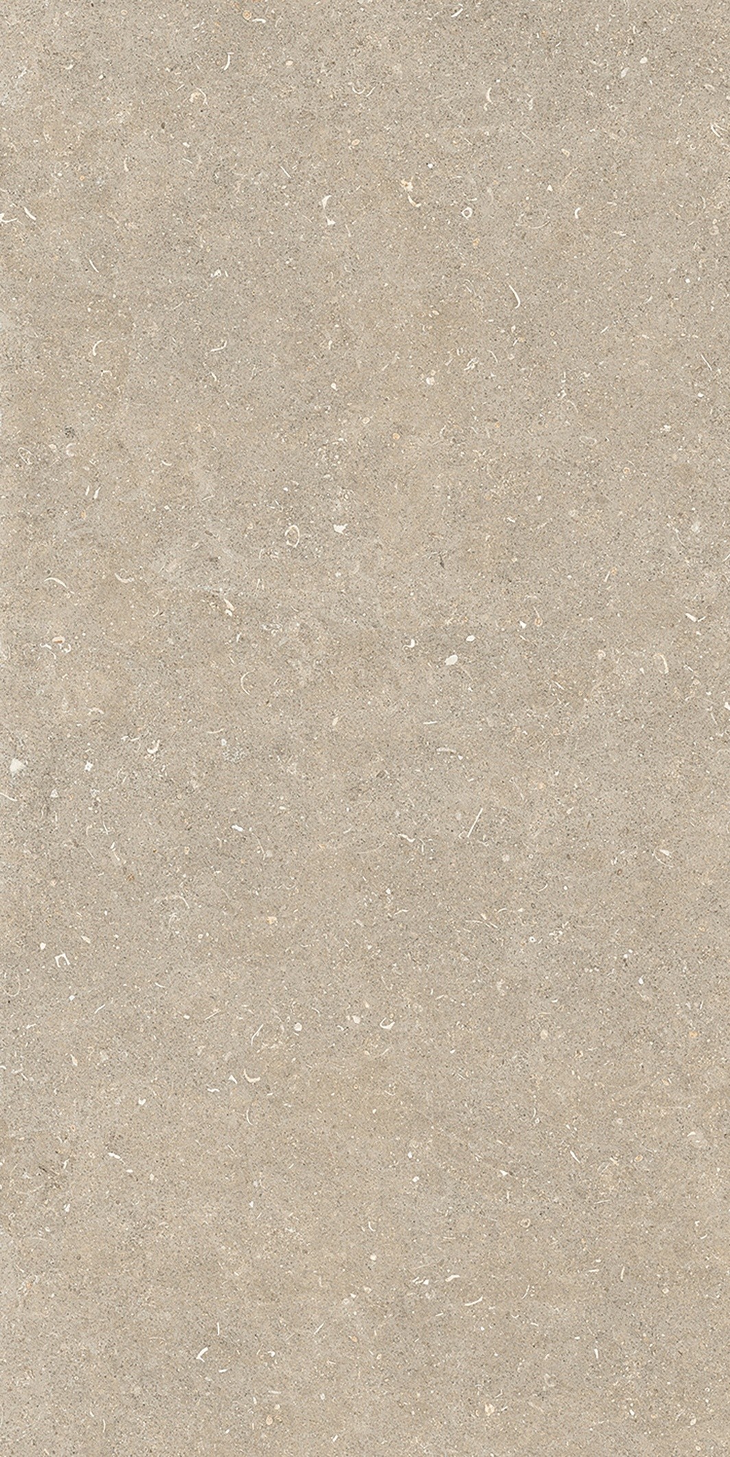 785575 Rinascenza Arena Conchiglia Matte 6mm 60x120 Casa Dolce Casa фото 2