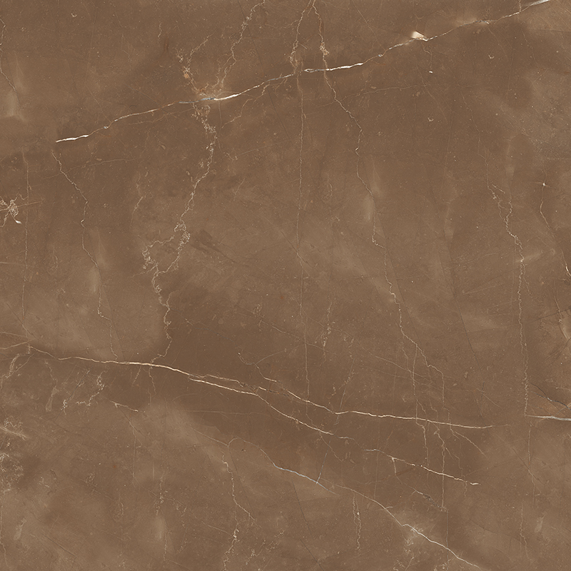 Armani Brown Satin 60x60 Colortile