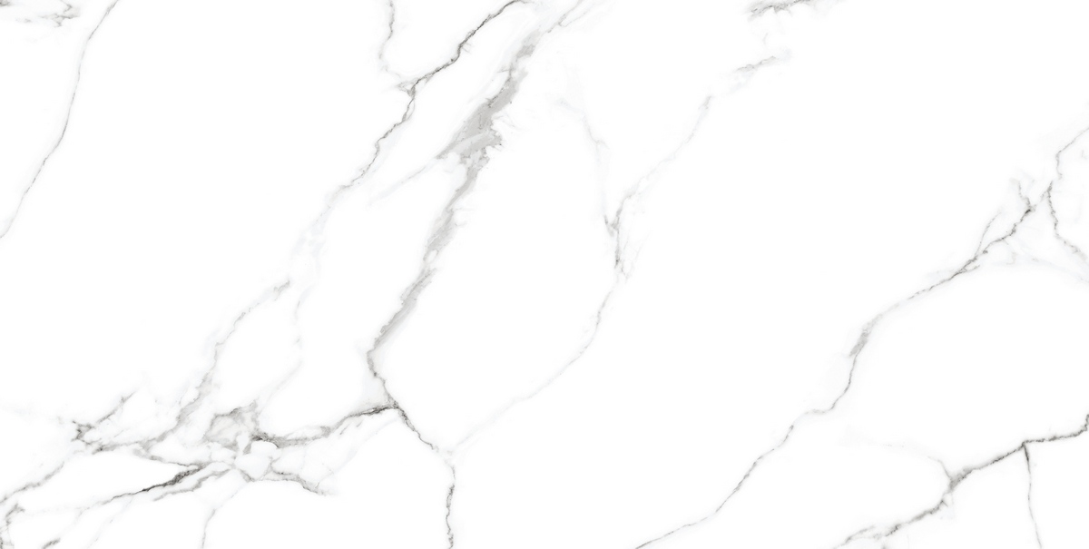 CV20222 Mckinley Glossy 60x120 Neodom