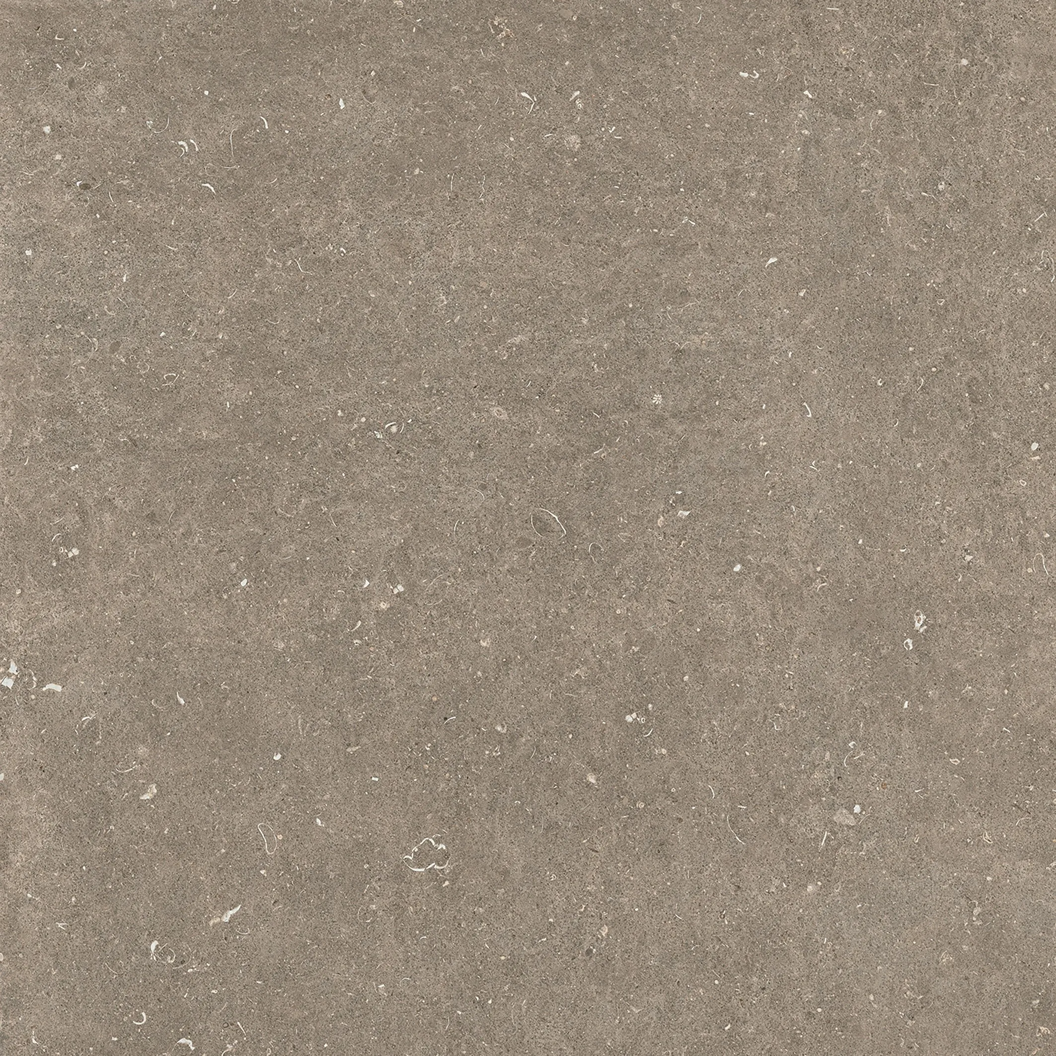 785580 Rinascenza Arena Pietra Matte 6mm 120x120 Casa Dolce Casa