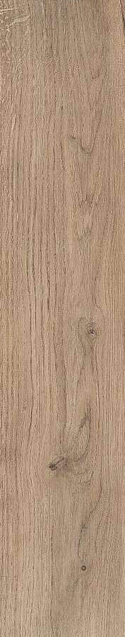 ZC 1023006 rect. 20x100 Bonaparte