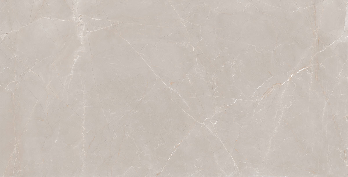 Natural Armani Light Grey Polish 60x120 Granoland