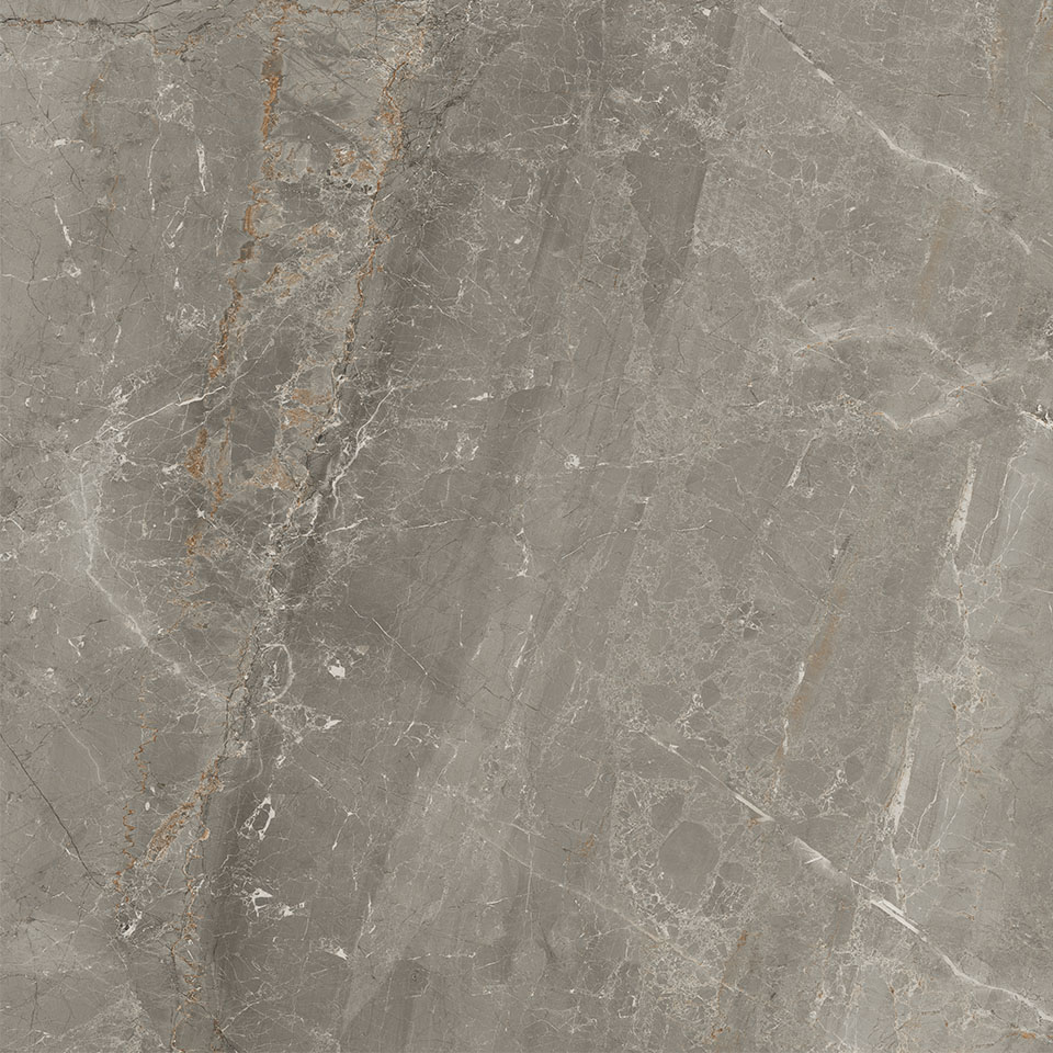 83336 Sybil Silver Rettificato 60x60 Cerdomus фото 5