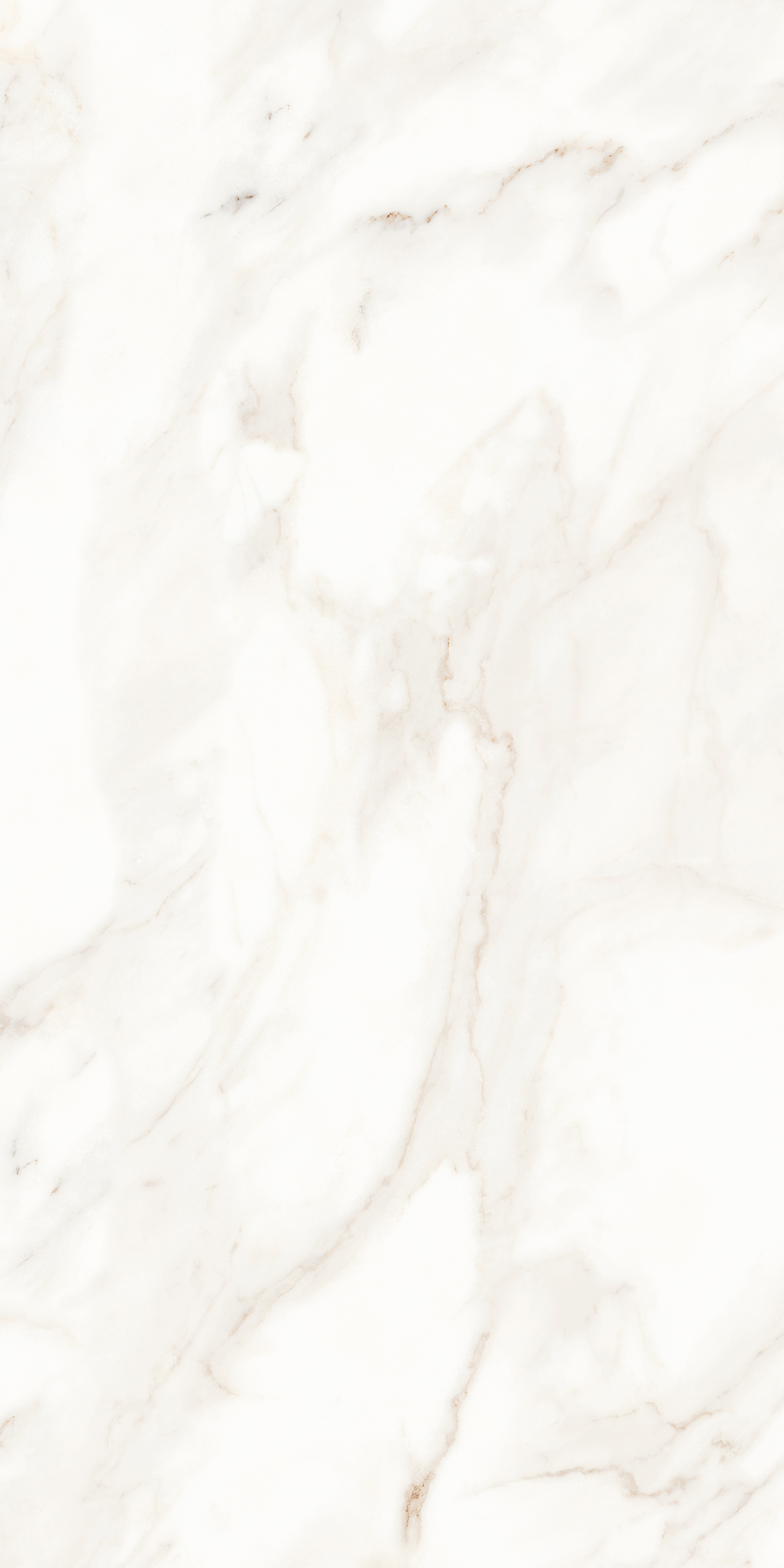 MPL-058623 Calacatta Polished 60x120 Creto
