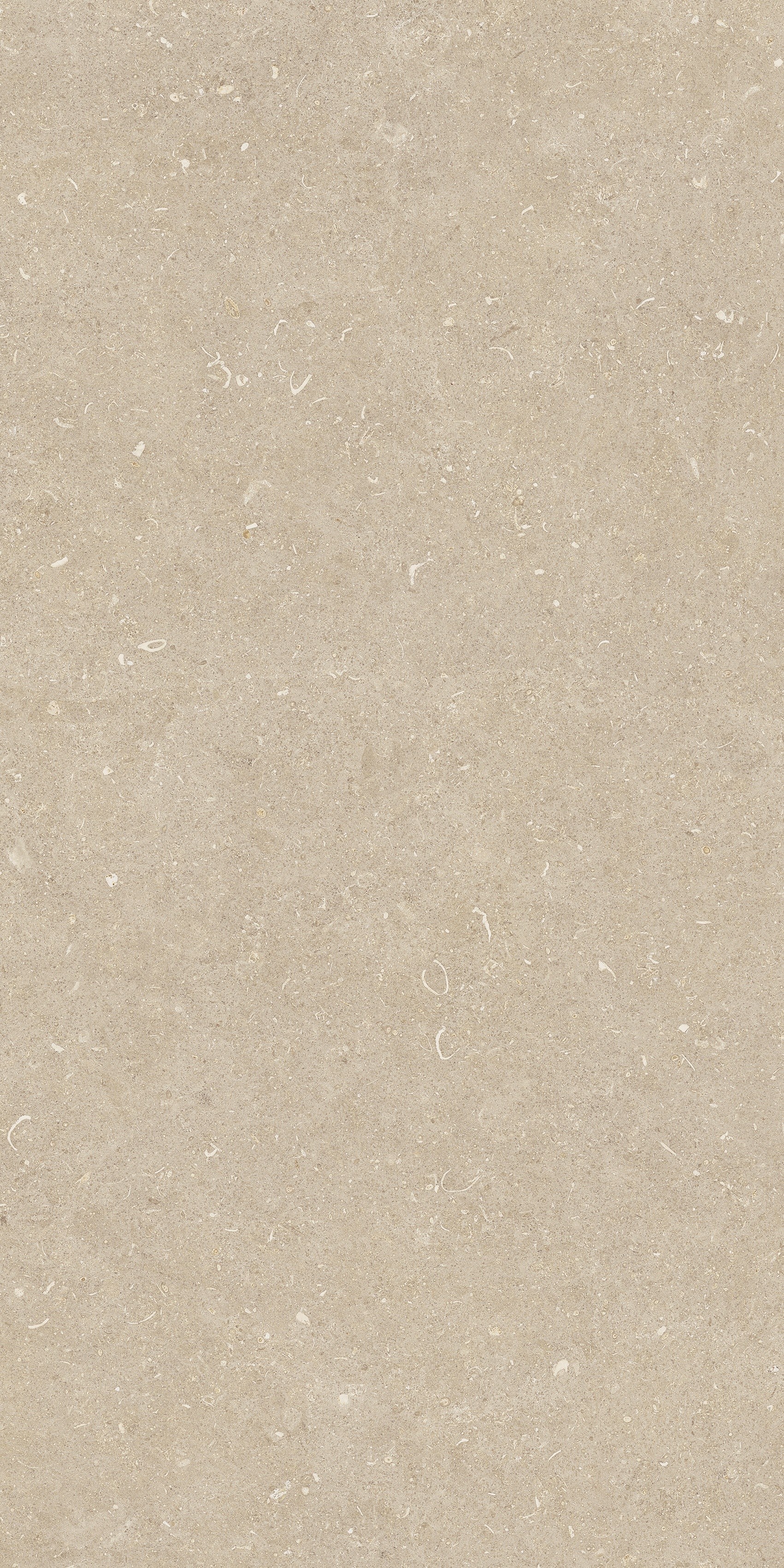 785481 Rinascenza Arena Conchiglia Matte 60x120 Casa Dolce Casa фото 6