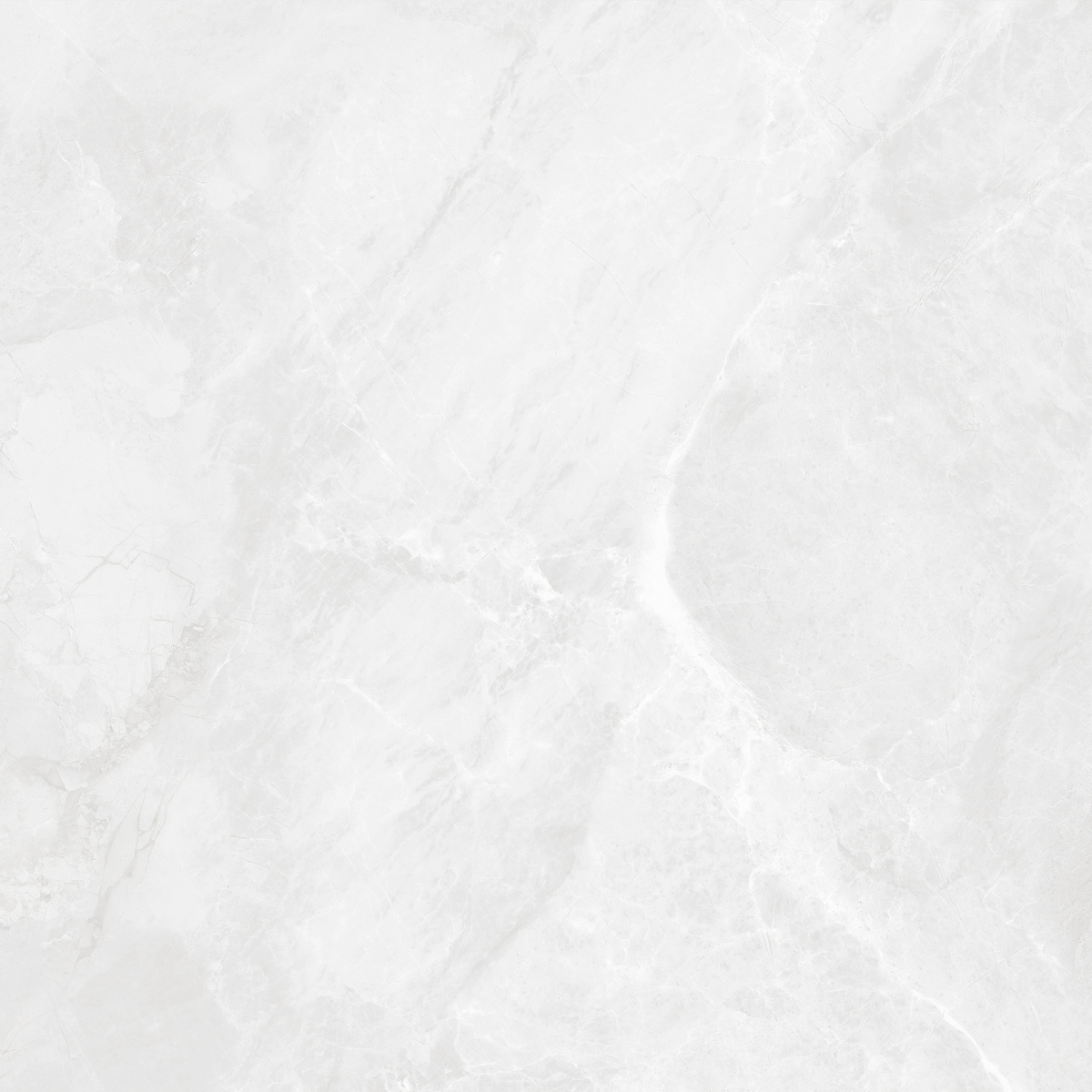 CR6060G0391R Regnum Bianco светло-серый матовый 59,5х59,5 Ceradim фото 12
