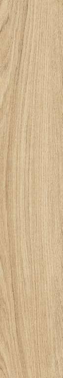 191024 Honey Wood Bricola Nat Ret 20x120 Ava Ceramica